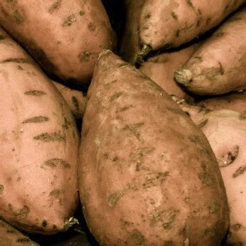 When you choose tong potato handling equipment, you. Tongan Potato : Cook Island Potato Salad Island Food ...