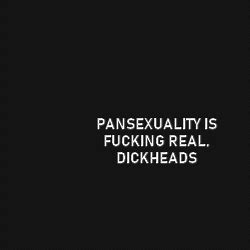 I am always giving the definition of pansexuality, then having to explain that i'm not bisexual that's why there are two different terms. Pin on pansexual/queer