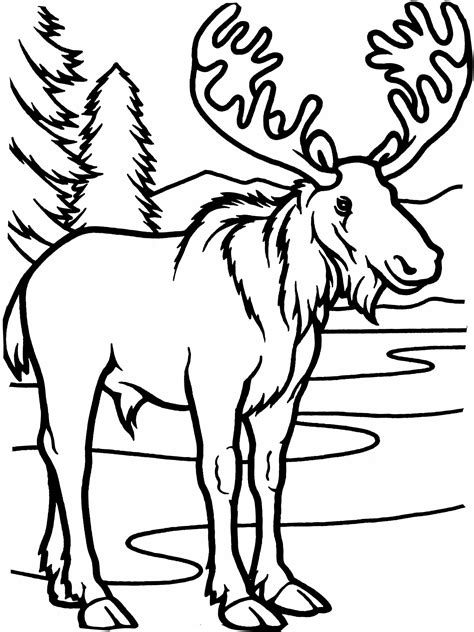 Moose coloring pages for adults. Free Printable Moose Coloring Pages For Kids