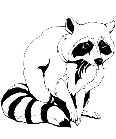 Racoon coloring pages are a fun way for kids of all ages to develop creativity, focus, motor skills and color recognition. Raccoon coloring page | Free Printable Coloring Pages