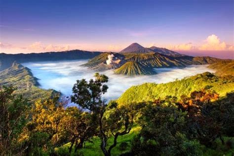 Pemandangan hutan alami tropis di indonesia. ketenangan alam: alam di indonesia