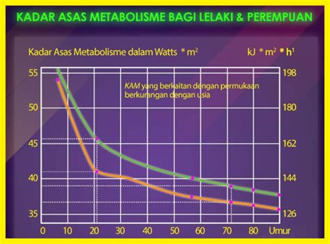 Maklumat berkaitan pemeriksaan kesihatan sebelum kahwin dan kursus perkahwinan bagi orang islam. Macam Mana Saya Kembali Langsing Macam Sebelum Kahwin