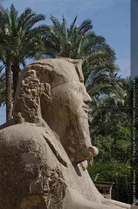 Einen ort, welchen man bei einer rundreise durch ägypten auf keinen fall auslassen sollte, ist memphis gilt als eine der ältesten und berühmtesten städte in ägypten. MATTHIAS SCHNEIDER : FOTOGRAFIE · ÄGYPTEN 2017 - Memphis ...