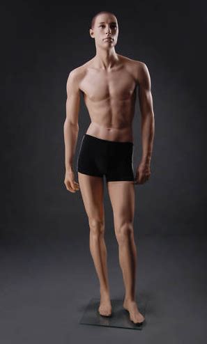 Whole body by thunk3d scanner archer w. Male Realistic Mannequin MM-GM21 | Pose reference photo ...