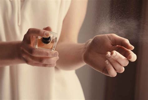 Should i check out a men's scent? Signature Scent: finding your perfect match - Corporate Review