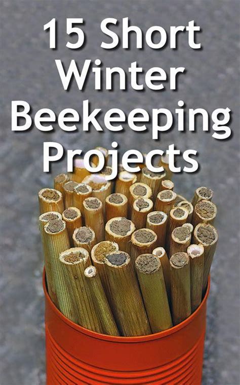 Becoming a beekeeper is a challenging yet rewarding experience. 15 Easy Beekeeping Projects for Winter | Backyard ...