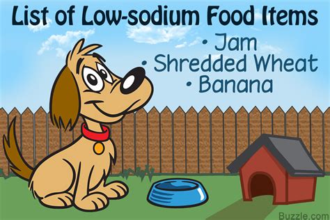 Sodium, which also goes by the name of salt, is a natural compound found in food. Low-sodium Dog Food Recipes You'll Want to Try Right Now ...
