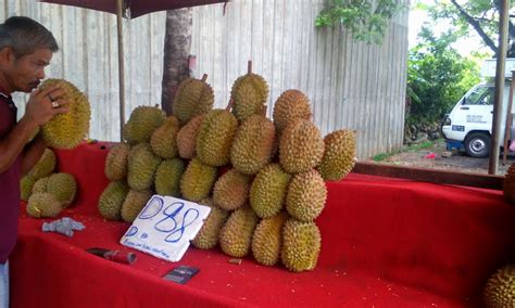 Dapat promosi durian udang merah paling best kat klang valley! Aku, Dia dan Kamu: Durian Udang Merah