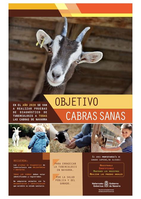 Последние твиты от las cabras (@lascabrasfc). El Gobierno foral impulsa una campaña para el registro de ...