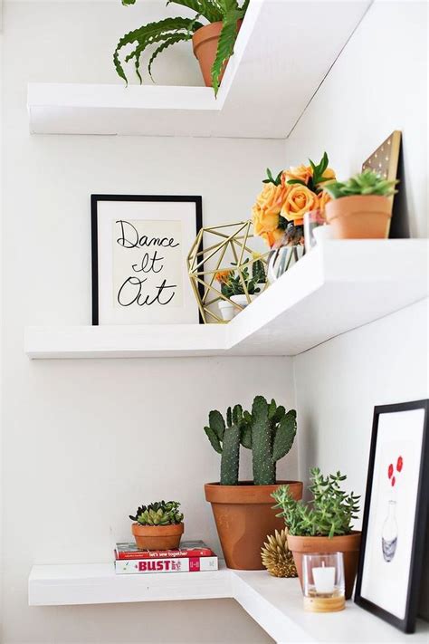 This is a good spot for favorite coffee mugs, everyday plates and. Cool 30+ Catchy Small Cactus Best Ideas Interior ...