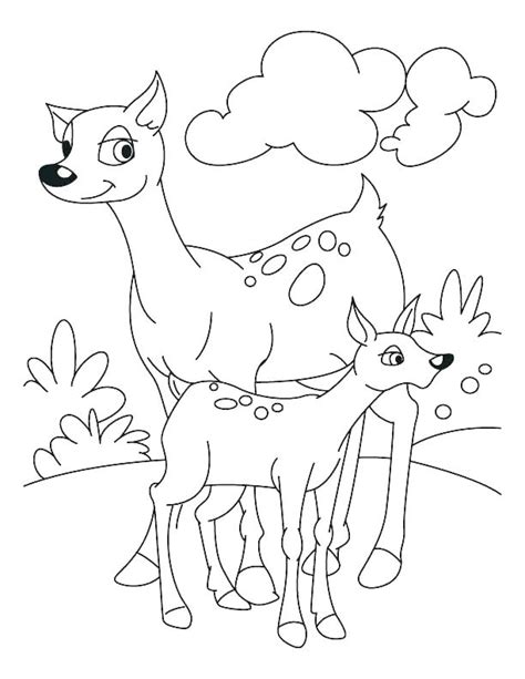 Color the fox realistic animal coloring pages free printable animals coloring pages. Realistic Deer Coloring Pages at GetDrawings | Free download