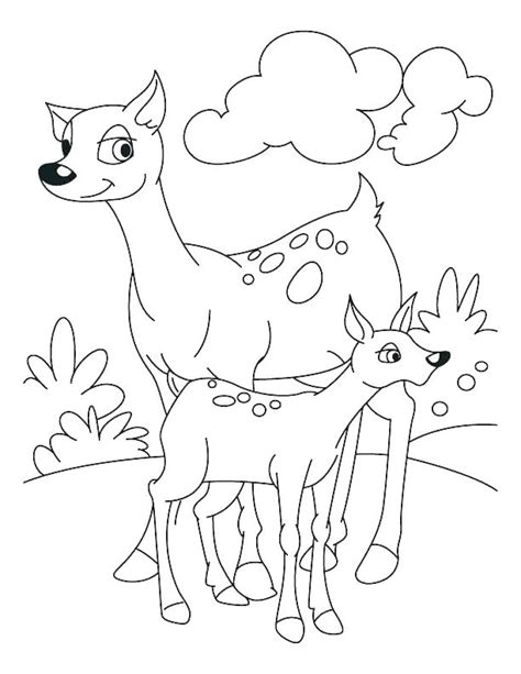 Baby deer coloring pages getcoloringpages com. Realistic Deer Coloring Pages at GetDrawings | Free download