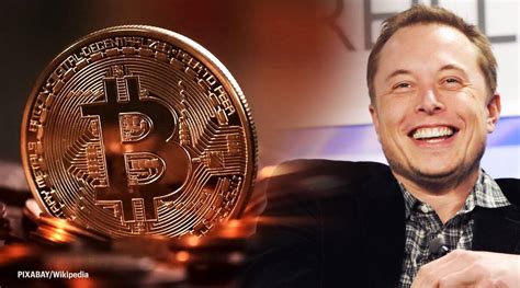 Musk has been an avid supporter of the cryptocurrency and his company back in february announced that it had purchased $1.5 billion in bitcoin and planned to. Elon Musk Bitcoin Meme / / Status on november 5th, 2018 ...