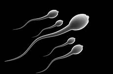 sperm abstract sex wallpaper egg wallpapers sexual swimming male cell bokeh abstraction life medical 4k healthy count decline man dna
