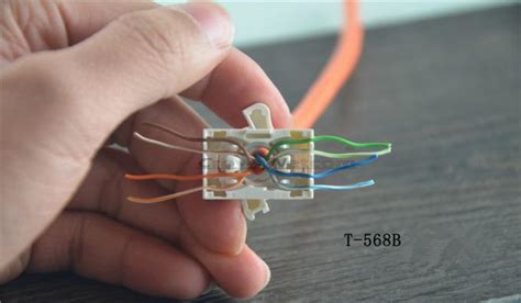Wallplates also come in a variety of options from single to six ports per plate as shown below. 568b Keystone Jack Wiring - Wiring Diagram Schemas