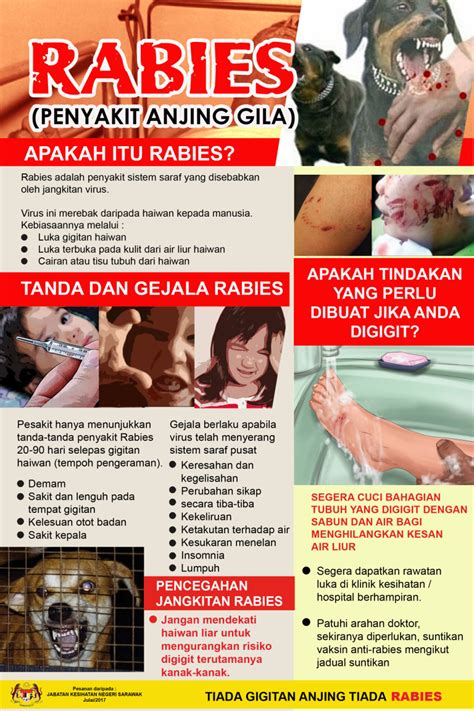 Get the latest update for features and system improvement. Rabies follow-up: Latest patient dies in Malaysia ...
