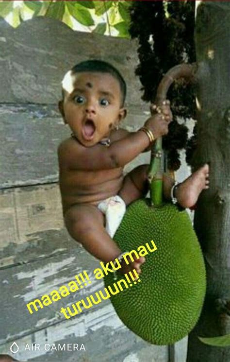 Demikian pemapara yang kita sampaikan,jika ada kurang lebihnya kami. 47+ Meme Lucu Stiker Wa | Serbameme