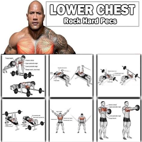 When you're working on your chest muscles, you'll mostly be targeting your another really advanced home chest workout, the plyometric push up adds extra intensity to your workout as well as working your pecs and delts, it also puts more pressure on your triceps. Lower Chest Training - The Rock Hard Pecs Workout | Lower ...