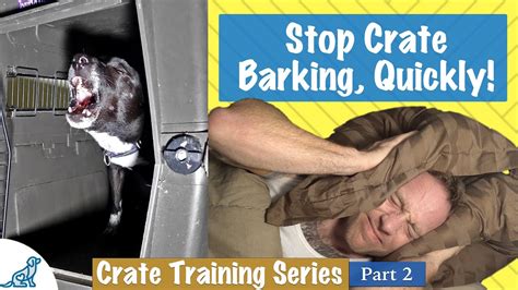 We did not find results for: How To Stop Your Dog From Barking In Their Crate At Night