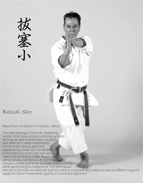 Karate kata are executed as a specified series of a variety of moves, with stepping and turning, while attempting to maintain perfect form. Pin by Tanzadeh Shitokai on Shito-ryu karate | Karate kata ...