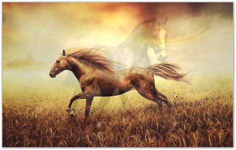 It is equal to 746 watts. Pyreaus - Inspired Manifestation - Horse Symbolism: Power ...