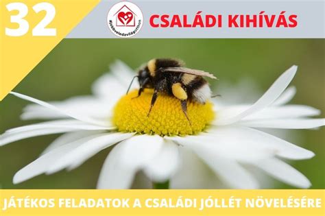 A méhek világnapja alkalmából ezúton is felhívjuk a figyelmet a pollinátorok, azaz a beporzók ökológiai jelentőségére. Boldogságóra Program