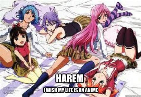 The females happen to be in love with him or are trying their best to get his affection. Harem memes | quickmeme