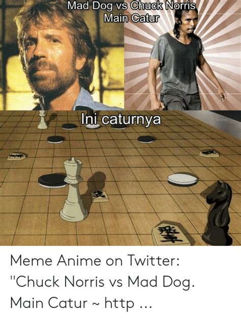 Maybe you would like to learn more about one of these? Meme Catur : Caturnya Kocak 10 Meme Pertandingan Dewa ...