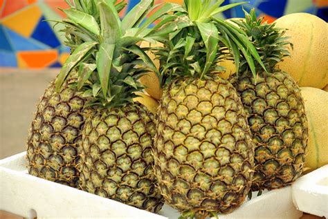 See more ideas about coffee humor, coffee quotes, coffee love. Fruits Stand: Pinya
