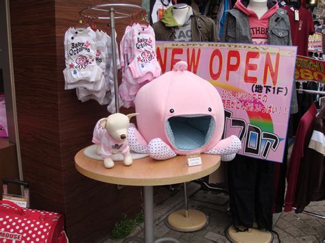 Pet shop for pet lovers! Pet Store Shinjuku, Tokyo | Pet store, Pets, Home decor