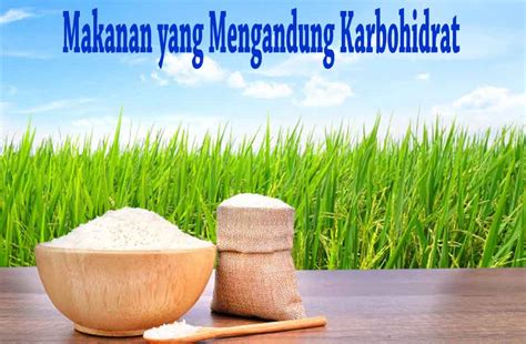 Beberapa makanan karbohidrat kompleks mengandung serat, vitamin, dan mineral dan membutuhkan waktu lebih lama untuk dicerna. √ 12 Contoh Makanan yang Mengandung Karbohidrat | Guru Sains