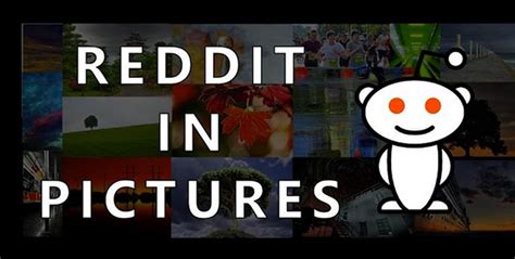 Since then, the race for best reddit readers as we just mentioned, reddit's official app is a relative newcomer to the reddit android app space, but in that time it's quickly won millions of users. Top 10 Best Reddit Apps for Android 2013 | Heavy.com