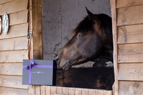 Shop our selection of horse gifts including horse jewelry, personalized horse gifts & more. Equestrian Gifts & Gift Boxes | Unique Gifts For The Horse ...