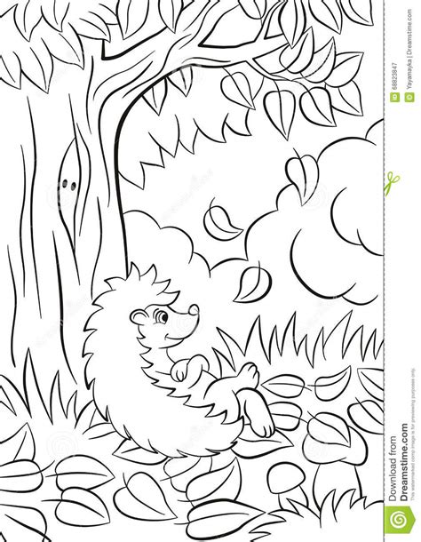 Fall tree | worksheet | education.com. Little Cute Kind Hedgehog Sits Near The Tree And Smiles ...