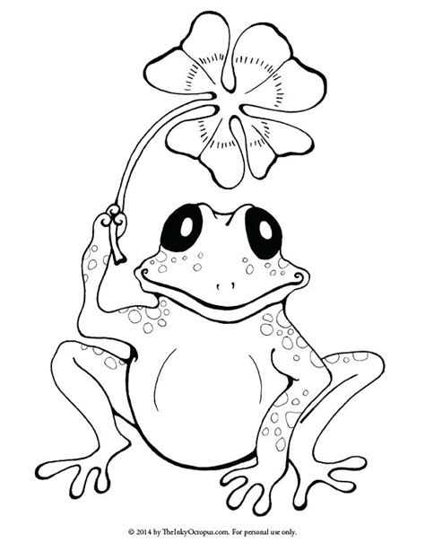 Select from 35450 printable crafts of cartoons, nature, animals, bible and many more. Realistic Frog Coloring Pages at GetDrawings | Free download