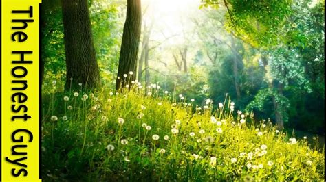 And you just keep going up. 3 HOURS of Relaxing Music - Relaxation Music, Spa, Sleep ...