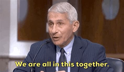 This twitter is purely for entertainment & stanning purposes. We Are All In This Together GIF by GIPHY News - Find ...