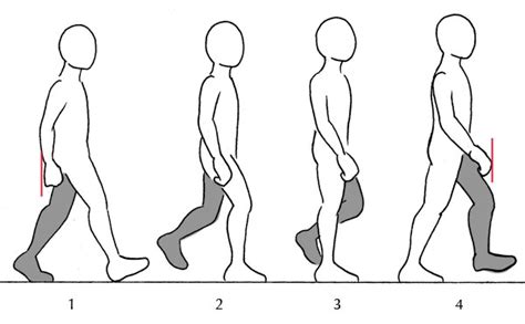 Make sure the spaces are as equal as possible! draw a person walking - Clip Art Library