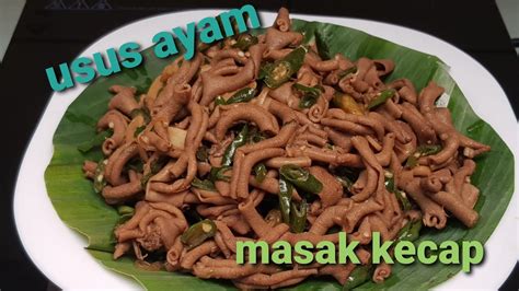 1/4 sendok teh merica bubuk. Usus ayam cabai hijau masak kecap - YouTube