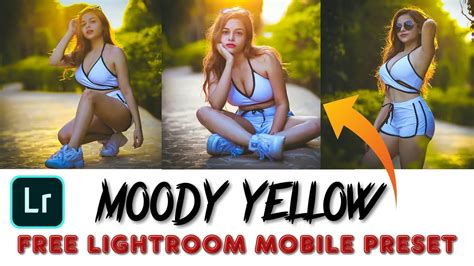 और दोस्तो आपको इस moody yellow lightroom presets में बहुत अच्छा colour का mixtures मिलता है जिसकी मदद से आपके photo में 1 click में बेहतरीन colour look देने में यह lightroom presets सक्षम है। Lightroom Mobile Preset Moody Yellow Free DNG |Moody ...