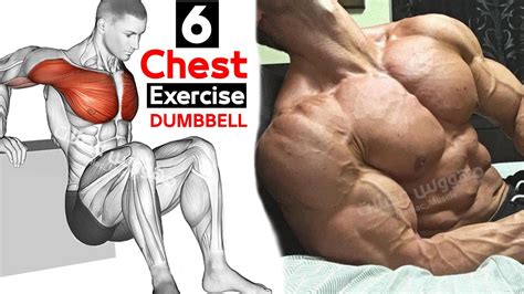 Maybe you would like to learn more about one of these? 6 DUMBBELLS Chest WORKOUTS - Full Exercise - YouTube