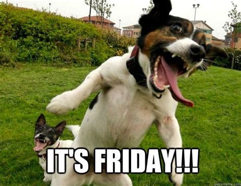 Some energetic guy expressing how i really feel when it's friday. It's Friday-dog memes to cheer you up- Pet Care And Wellness