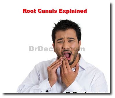 Самые новые твиты от ala moana dental (@alamoanadental1): Root Canals Explained - Honolulu Dentist - Ala Moana ...