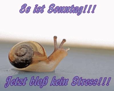 Ich wünsche dir einen traumhaften sonntag. http://textgifs.de/sonntag/sonntag02/sonntag-033.gif ...