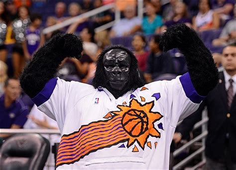 The phoenix suns' gorilla is the latest injury victim, as he suffered a bloody nose courtesy a it started just before 6:30p.m., police said. New Phoenix Suns Uniforms - Page 10 - Sports Logos - Chris Creamer's Sports Logos Community ...
