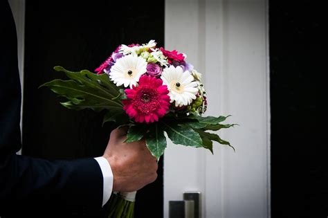 Regalare un mazzo di fiori a qualcuno è uno dei gesti più per ringraziare un'amica o un amico, sono adatti numerose composizioni floreali fatte con le begonie o. Fiori per compleanno di compagna, madre e amica