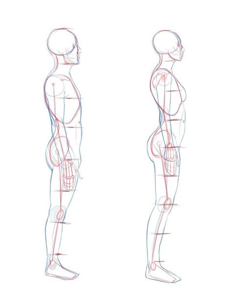 In a recent tutorial, we explained how to draw an anime body, and now we will show how to draw anime clothes. Image for Human body side view | Body reference drawing ...