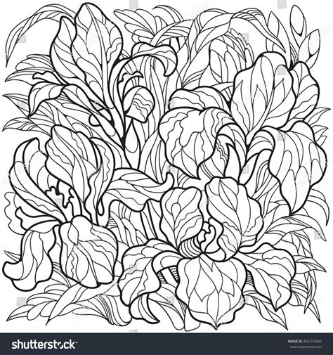 Iris coloring page from iris category. Pin on Flower