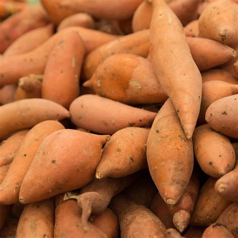 It is important to give your potato a good wash before microwaving, especially if you're planning on eating the skin. How you cook your sweet potato can change the amount of ...