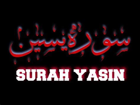 Dan langsung saja teman teman semuanya kita menuju pembahasan utama kita. Surah Yasin # Surah Ar Rahman # Surah Al Mulk # Surah ...